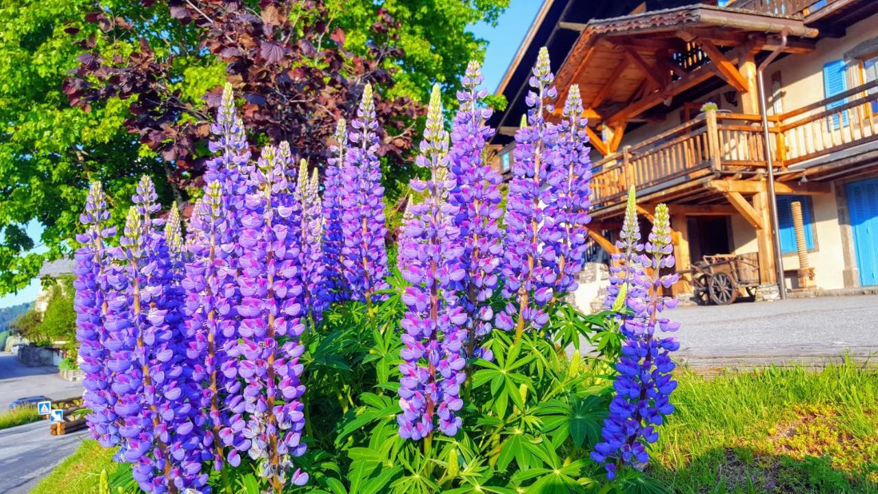 Chalet La Source Hotel Saint-Nicolas-la-Chapelle  Ngoại thất bức ảnh